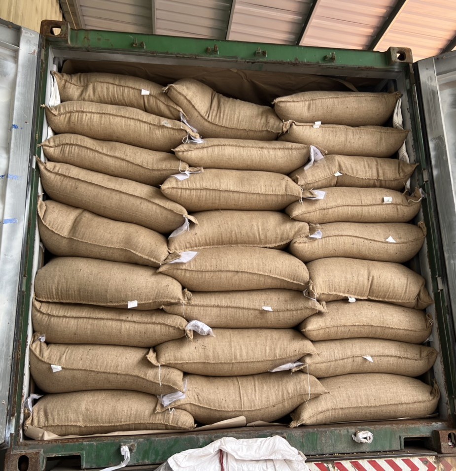 Container đóng carton cà phê rang 25kg FCL xuất khẩu