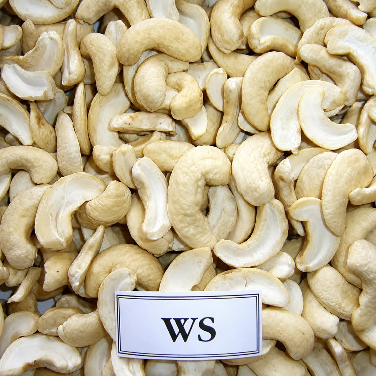 Hạt Điều Vỡ WS (White Splits) — ảnh 2