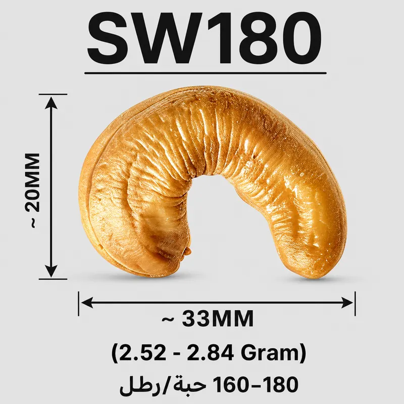 SW180 — ảnh 3