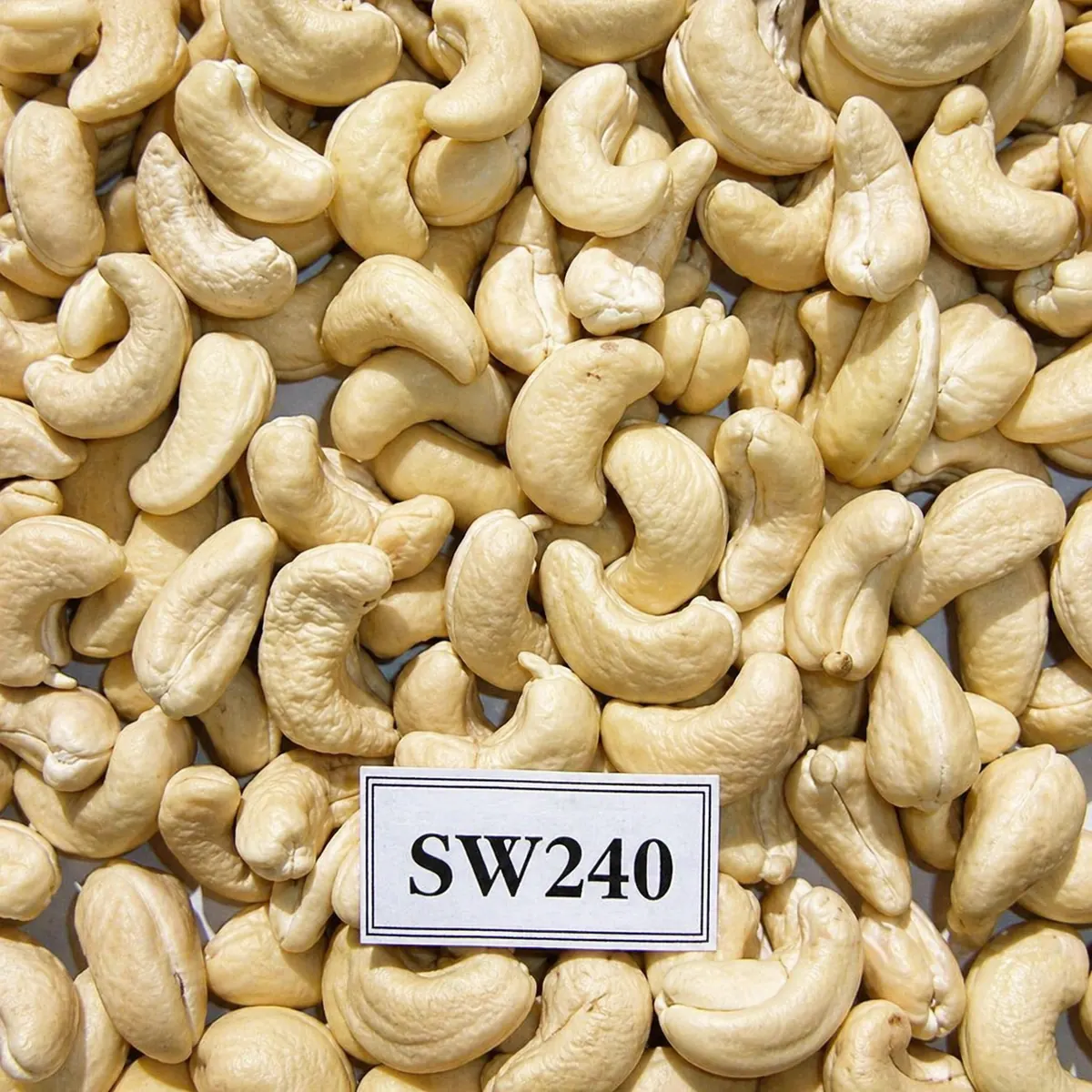 Hạt Điều SW240 — ảnh 2