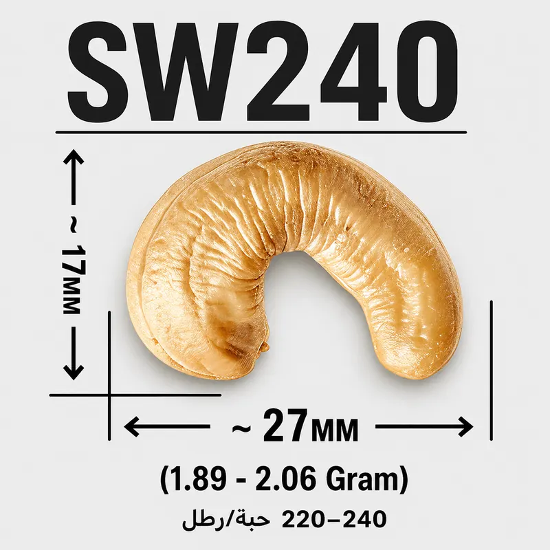 SW240 — ảnh 3