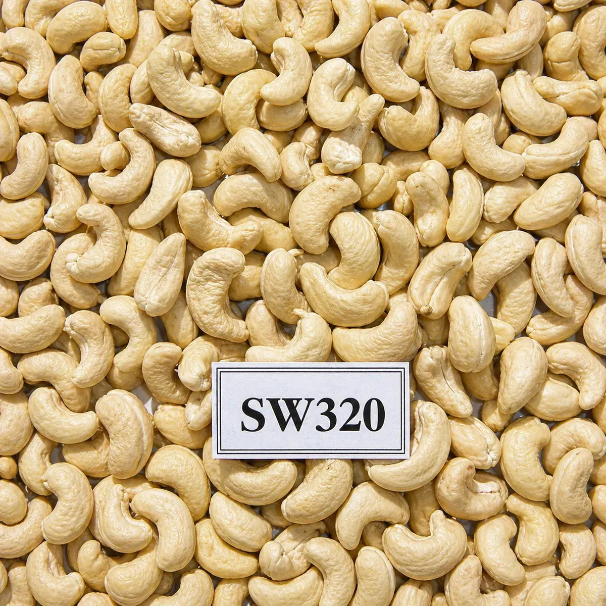 Hạt Điều SW320 — ảnh 2