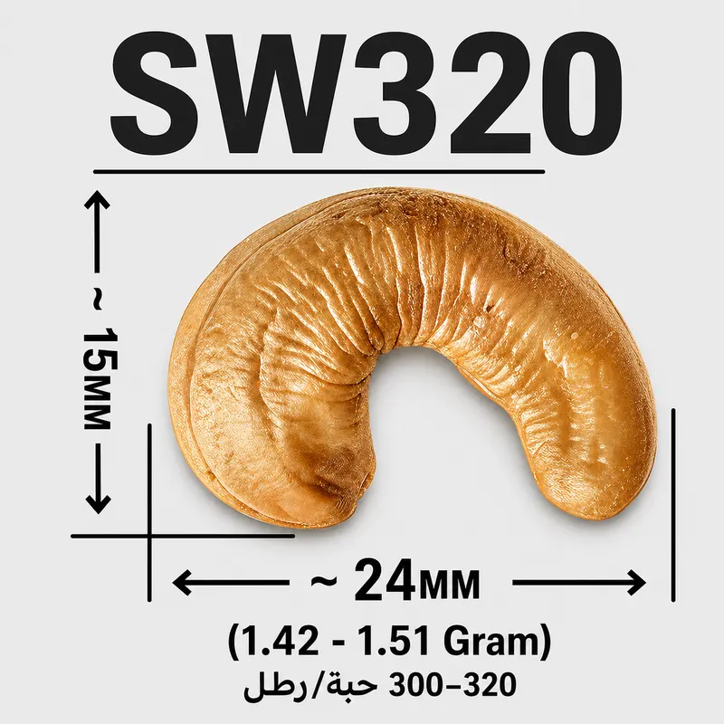 SW320 — ảnh 3