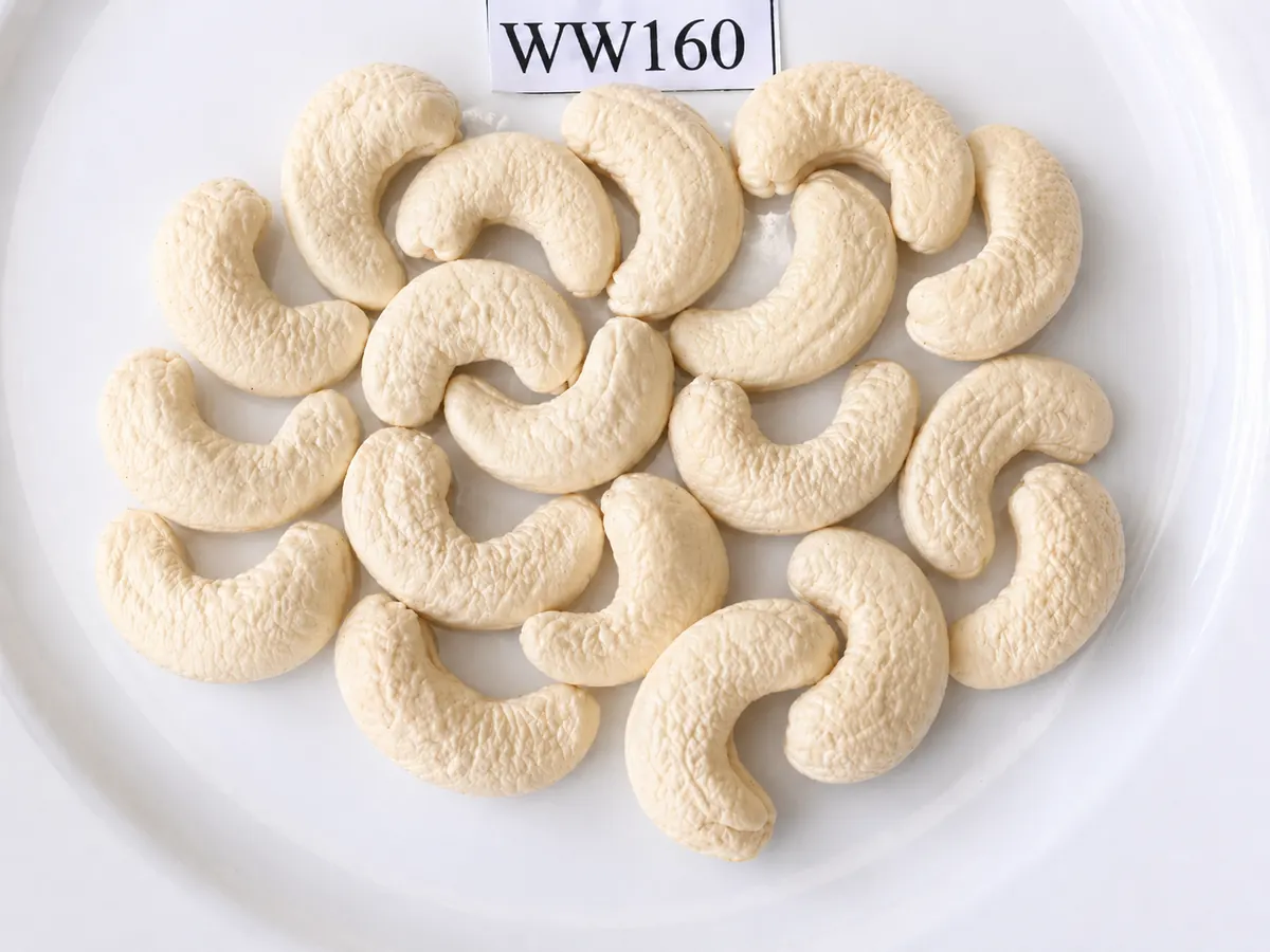 Hạt Điều WW160 — ảnh 2