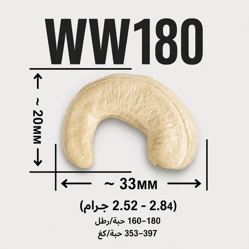 WW180 — ảnh 4