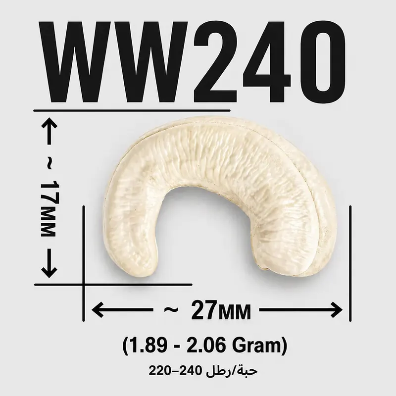 WW240 — ảnh 3