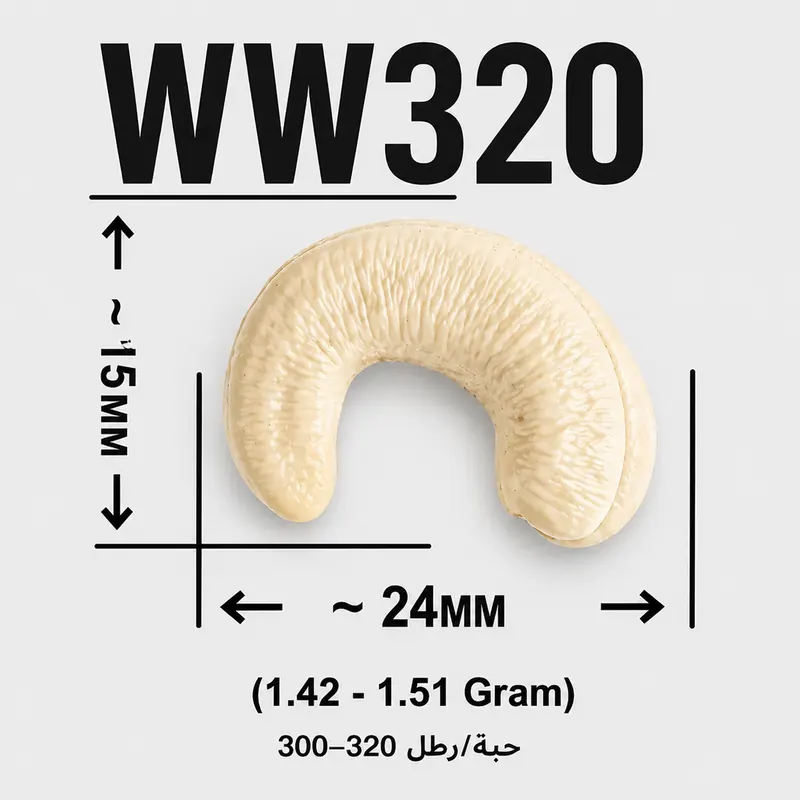 WW320 — ảnh 3