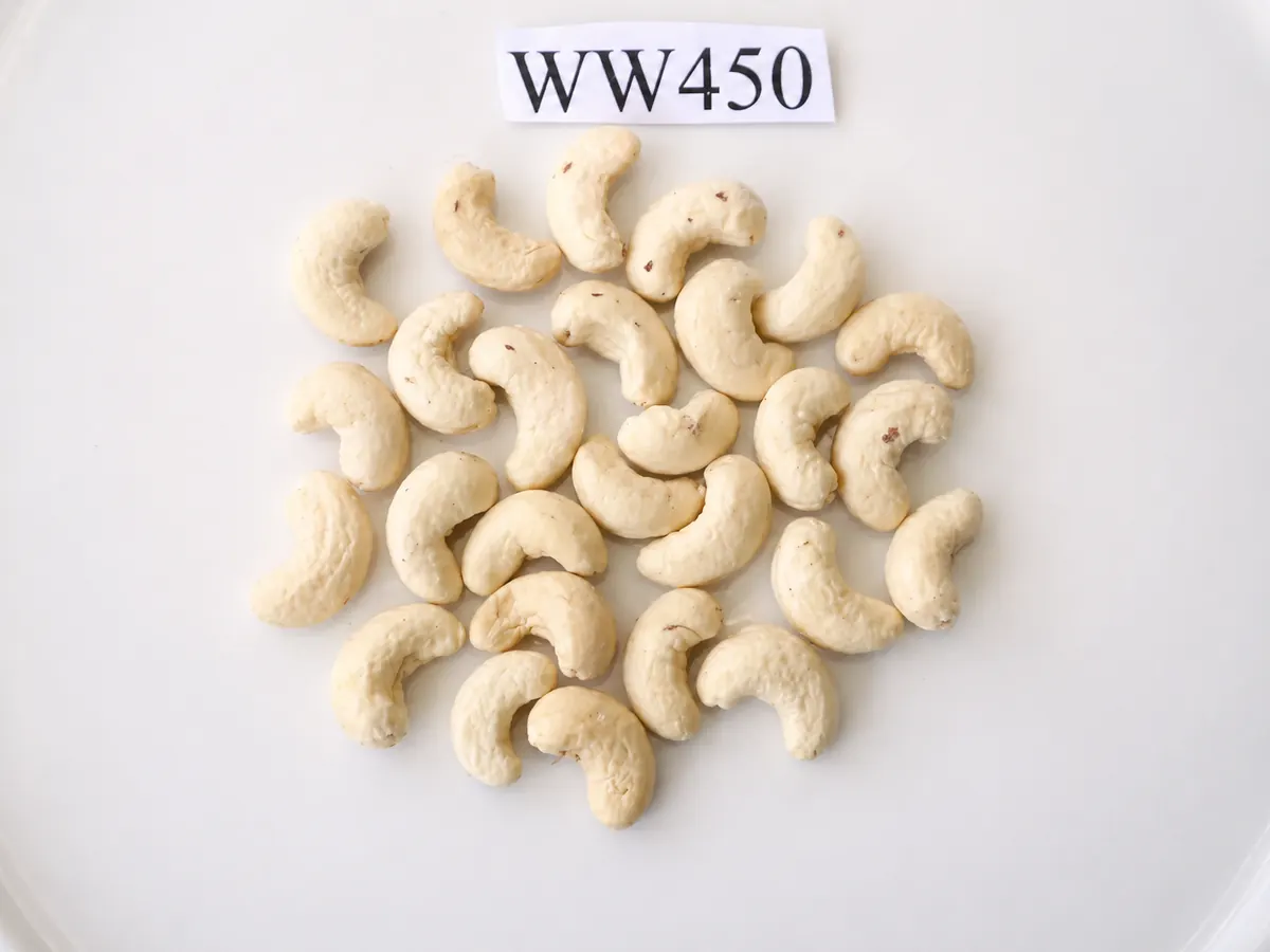 Hạt Điều WW450 — ảnh 2