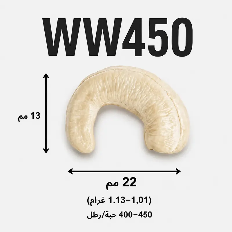 WW450 — ảnh 3