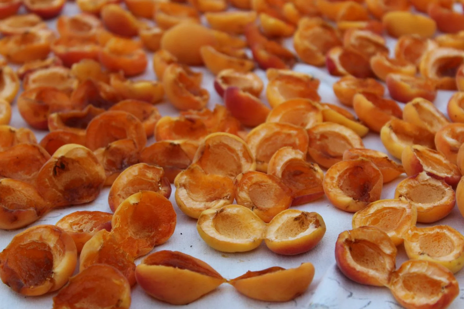 Mơ Sấy — ảnh 2