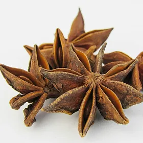 Hoa Hồi