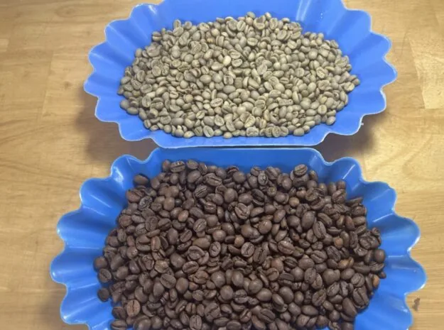 Arabica Nhân Xanh - Full Washed S16 — ảnh 3
