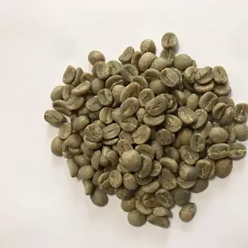 Arabica Nhân Xanh