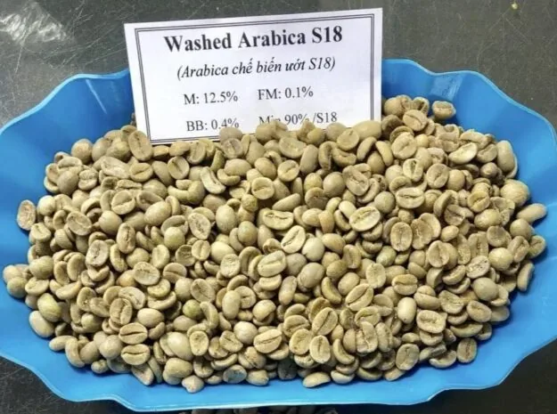 Arabica Green Coffee Beans - Full Washed S18 — ảnh 2