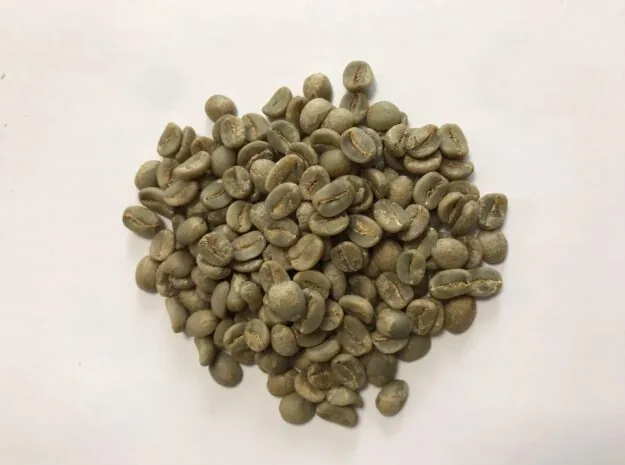 Arabica nhân xanh Full Washed S18