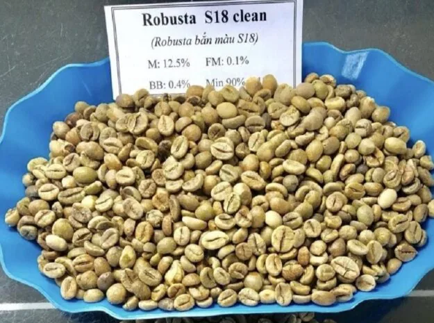 روبوستا حبوب خضراء - Clean S18 — ảnh 2