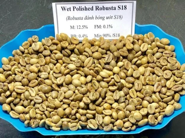 Robusta Green Coffee Beans - Wet Polished S18 — ảnh 2