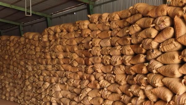 Kho hạt điều chuẩn bị xuất khẩu